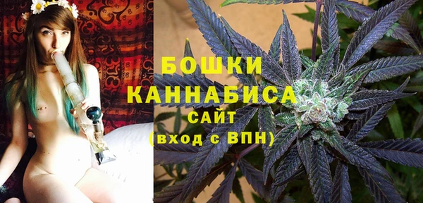 ПСИЛОЦИБИНОВЫЕ ГРИБЫ Балабаново