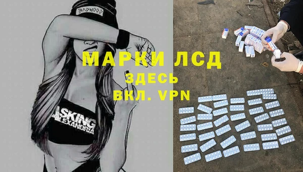ПСИЛОЦИБИНОВЫЕ ГРИБЫ Балабаново