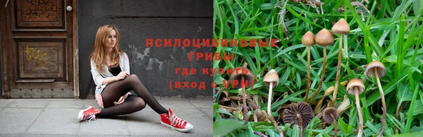 СК Баксан