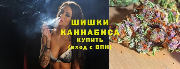 ПСИЛОЦИБИНОВЫЕ ГРИБЫ Балабаново