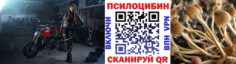 Галлюциногенные грибы ЛСД  ОМГ ОМГ вход  Углич  наркота 